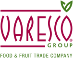 logo varesco group