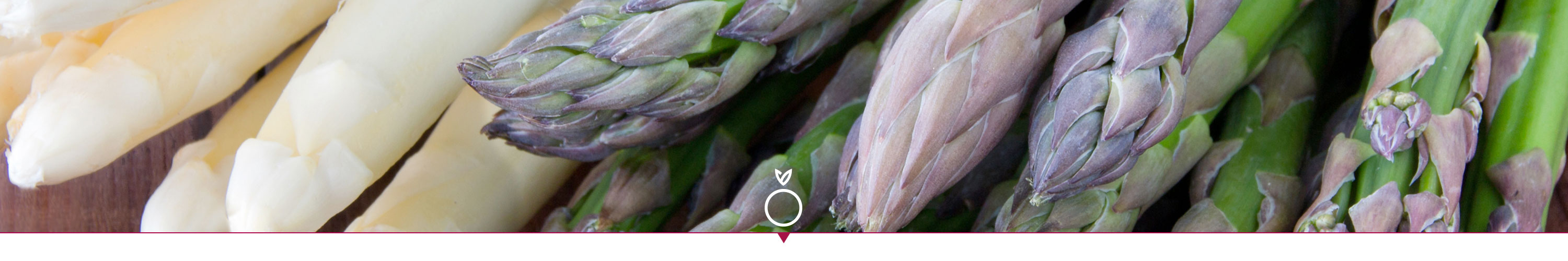 asparagi bianchi e verdi